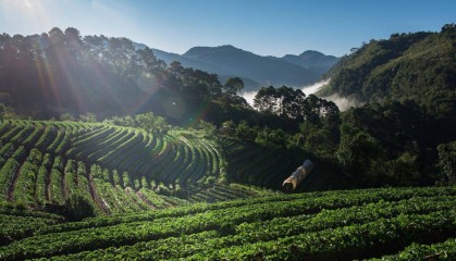 四川首批符合农业转型金融标准的项目贷款落地