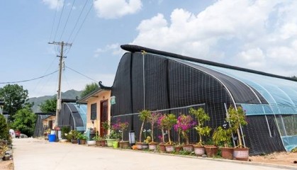 “金融活水”润沃土 “精准滴灌”结硕果