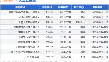 8月13日广钢气体涨13.13%，景顺长城电子信息产业股票A基金重仓该股