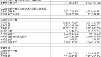 【致同研究之年报分析】金融工具披露示例（25）：与金融工具相关的风险披露