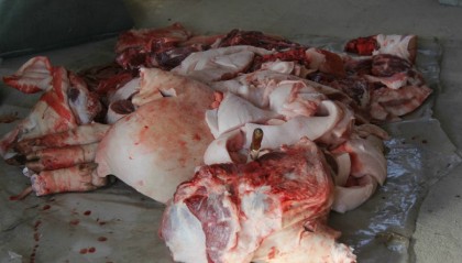 虚拟币杀猪(虚拟币会抓什么人)