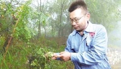 “党参哥” 宋建红：把太行深处的潞党参种成 “致富参”