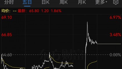 688228，重大资产重组