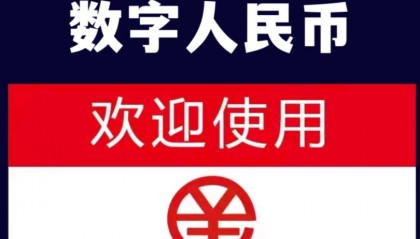 虚拟币和数字人民币(虚拟币数字人民币都是传销组织吗)