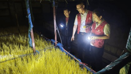 聚焦“三农”金融需求，人民银行莱芜分行引金融“活水”绽乡村振兴之花