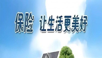 在深圳想买周大幅保险与立桥人寿怎么买