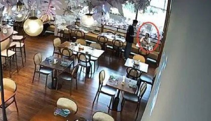 上海警方：一个月犯了4次，王某（女）被刑拘！