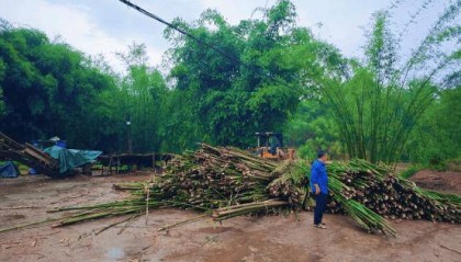 以信固信 金融助力区域重点产业稳健发展——泸州银行信用贷款加持竹产业客户