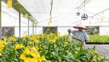 广州农商银行：唤醒农村沉睡资源，金融活水浇灌乡村振兴沃土