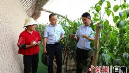 庆阳环县农户获“金融礼包” 普惠贷款助力产业升级