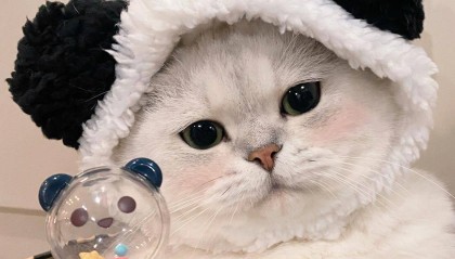 笑话十条：我大学刚毕业找工作时合租的室友是我平生见过最贱的室友