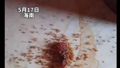 孩子零食肉干掉地上，蚂蚁吃完全死了！网友热议