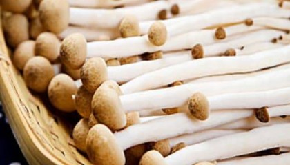 羊肚菌怎么买？