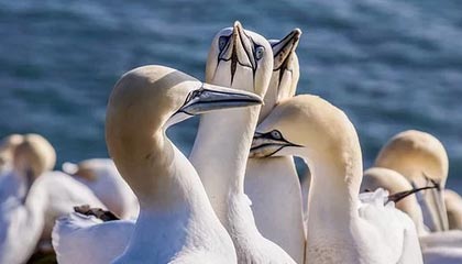 取消访日!王毅罕见发火:我还就要在今天这个日子表明中方立场