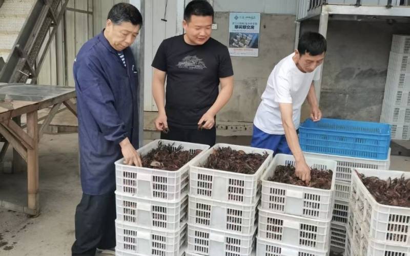 湖北农担金融“及时雨”助力春耕生产