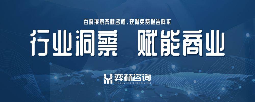全面分析2025年非银行金融公司市场