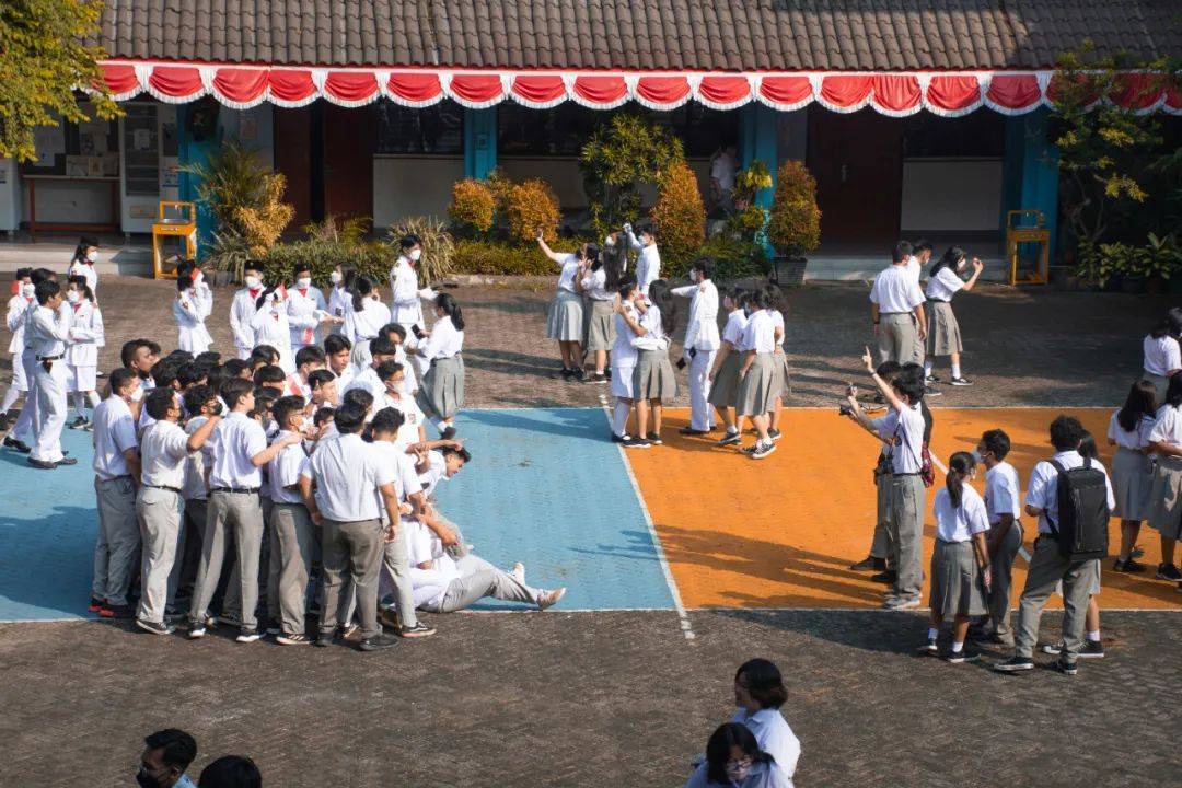 连降20年！拯救“脆皮大学生”
