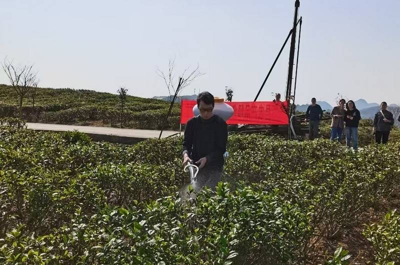 贵州大学教授金智超：做接地气的科研 助绿色农药发展