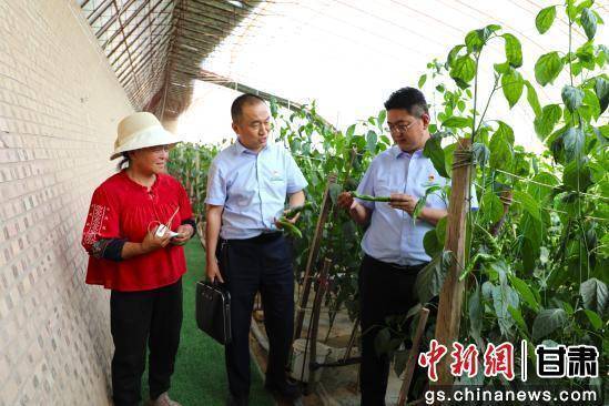 庆阳环县农户获“金融礼包” 普惠贷款助力产业升级