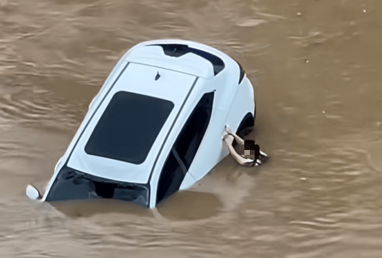 东莞上半年镇街经济“放榜”，有喜有忧｜东莞一周