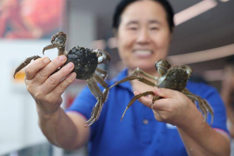 东营市垦利区:黄河口大闸蟹抢“鲜”上市