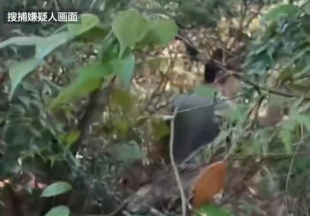 湖南一男子发疯行凶致3死1伤,研究生制止被刺身亡