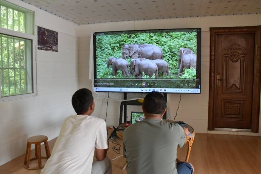 云南省委书记王宁:这朵“云”,是云南的新优势