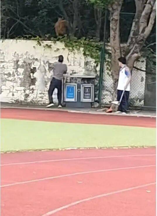 福建一公办职中保安被指当学生面,从3米高墙扔出流浪狗!福清教育局:将核实情况