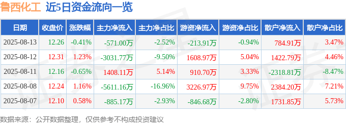 股票行情快报:鲁西化工(000830)8月13日主力资金净卖出571.00万元