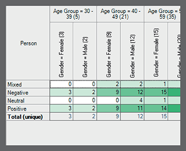 NVivo —定性数据分析软件
