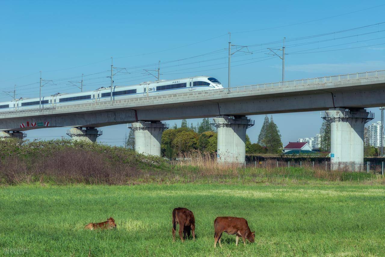 买牛：怎么选、怎么谈、怎么避坑？