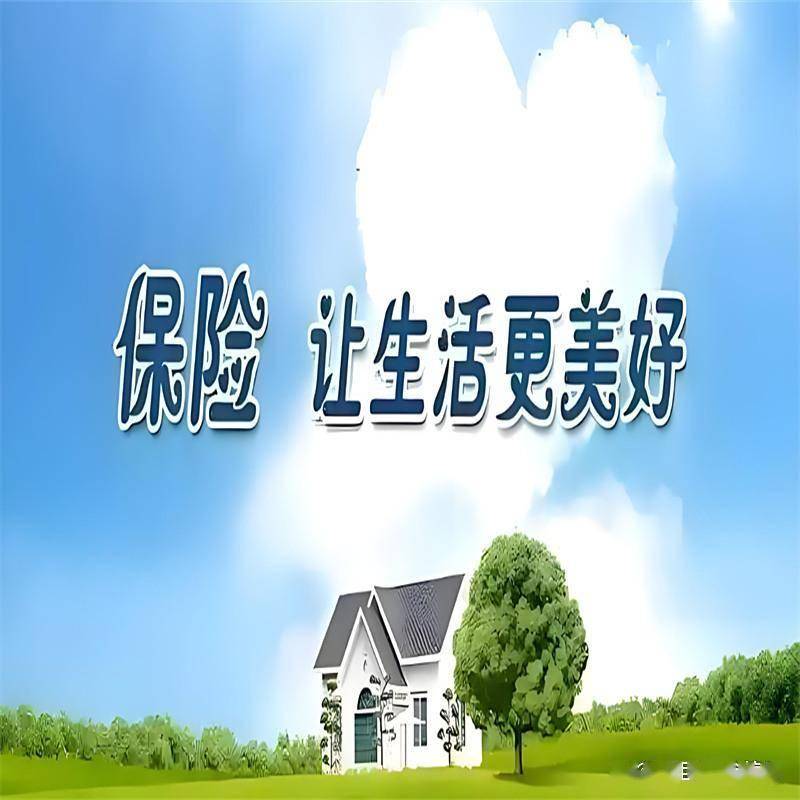 在深圳想买周大幅保险与立桥人寿怎么买