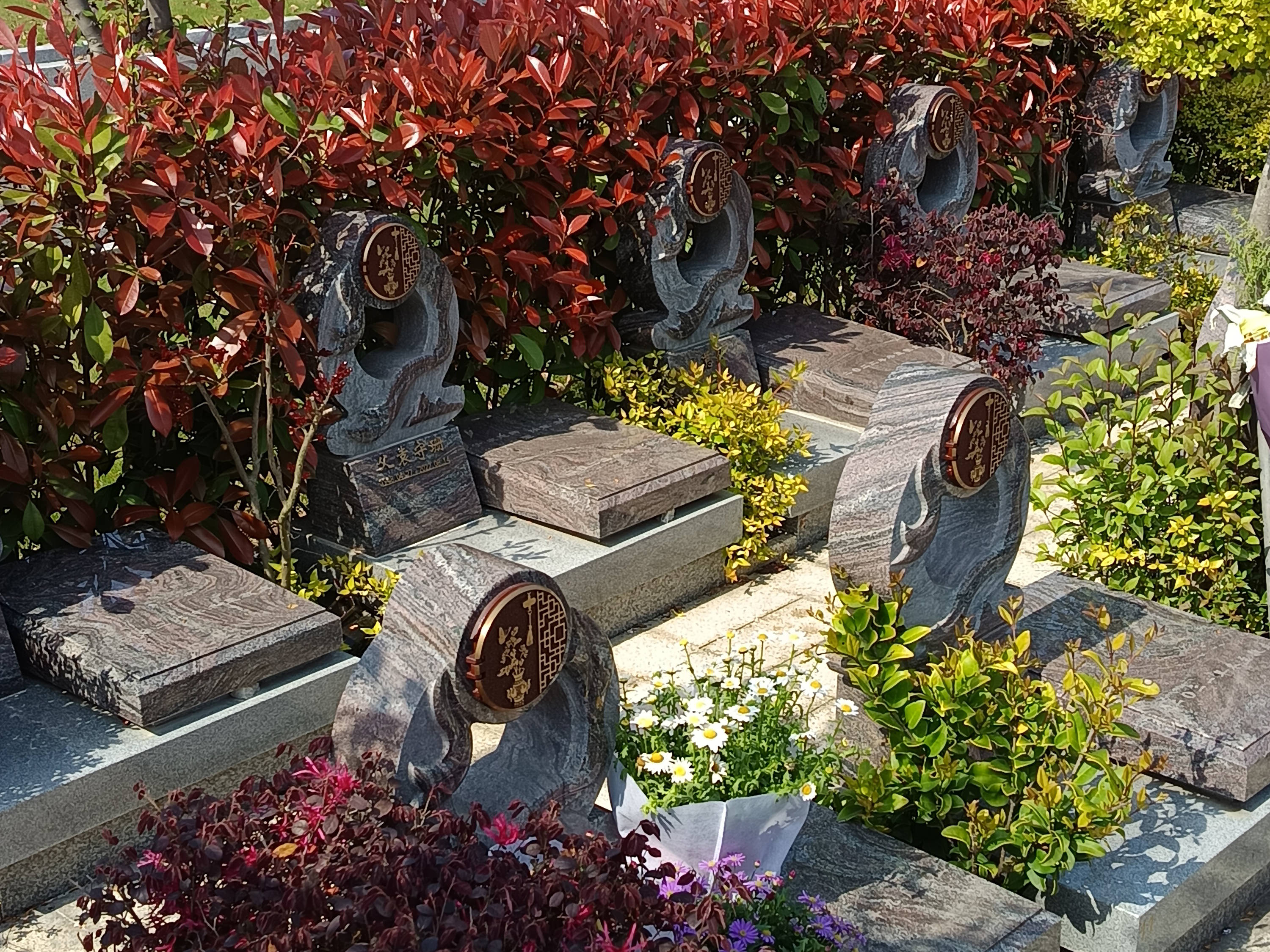 上海汇龙园环境、交通、墓型一览,上海墓地陵园大全